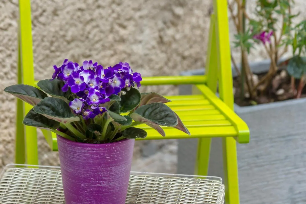 Bernard Old Town Apartment Split Croatia